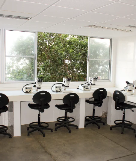 Es importante para la Escuela de Geología que conozcan las instalaciones que se tienen al servicio de los estudiantes y la comunidad universitaria. Foto tomada en la escuela, plano general del Laboratorio de Estereomicroscopía.
