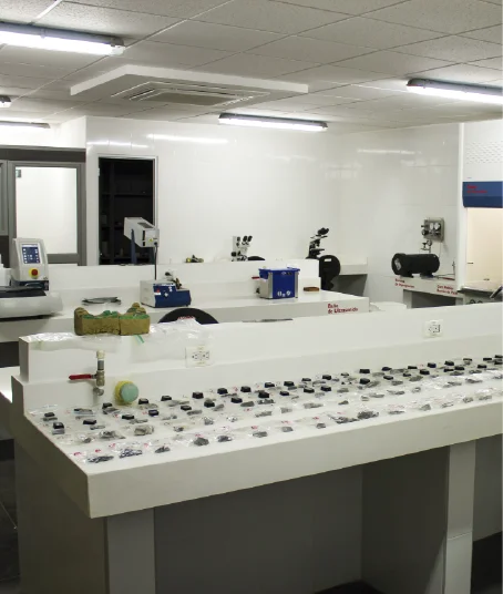 It is important for the School of Geology to show the facilities at the service of students and the university community. Photo taken in the Sample Preparation Laboratory where all the samples are displayed on a table.