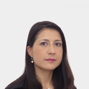La foto fue tomada en primer plano, fondo blanco y la profesora Julie Fernanda Benavides Arévalo está situada en el centro.
