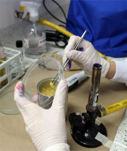 Plano detalle de la muestra analizada por un estudiante