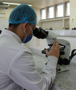Estudiante analizando muestras en un microscopio