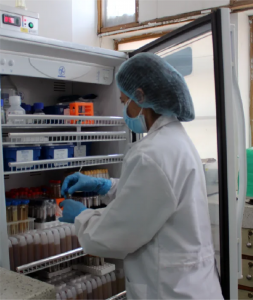 Foto donde aparece una estudiante refrigerando unas muestras del laboratorio