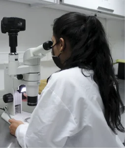 Primer plano de una estudiante de espaldas trabajando en un microscopio