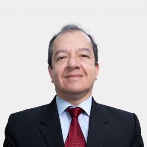 Foreground photo showing Professor Boris Eduardo VESGA ANGARITA in the center.