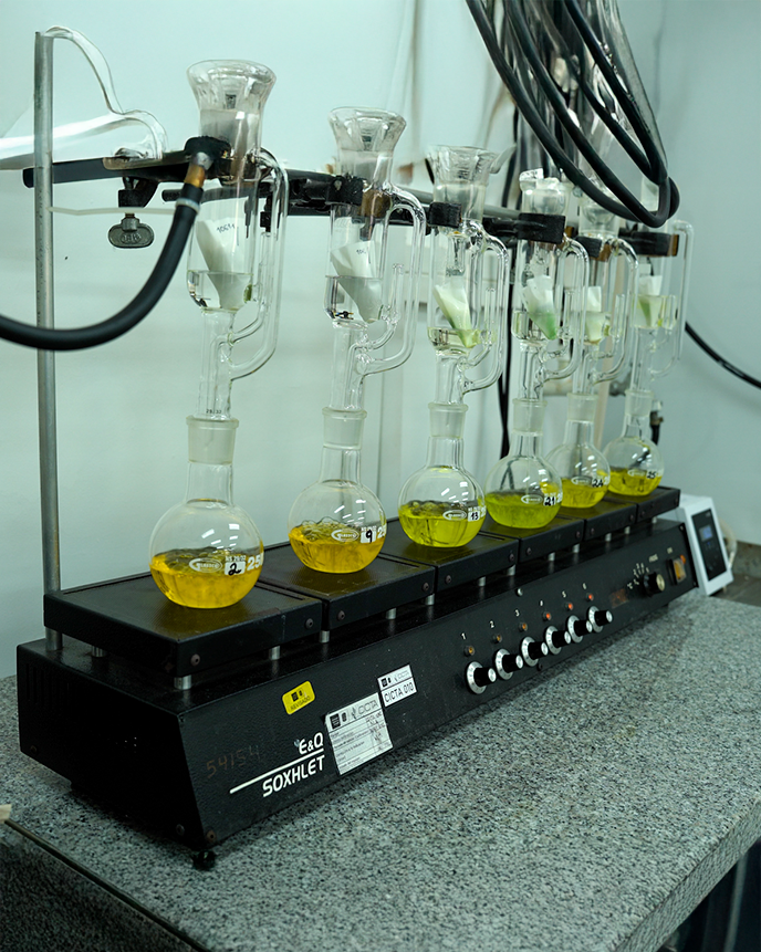 Test tubes with fluids in a chemical engineering lab