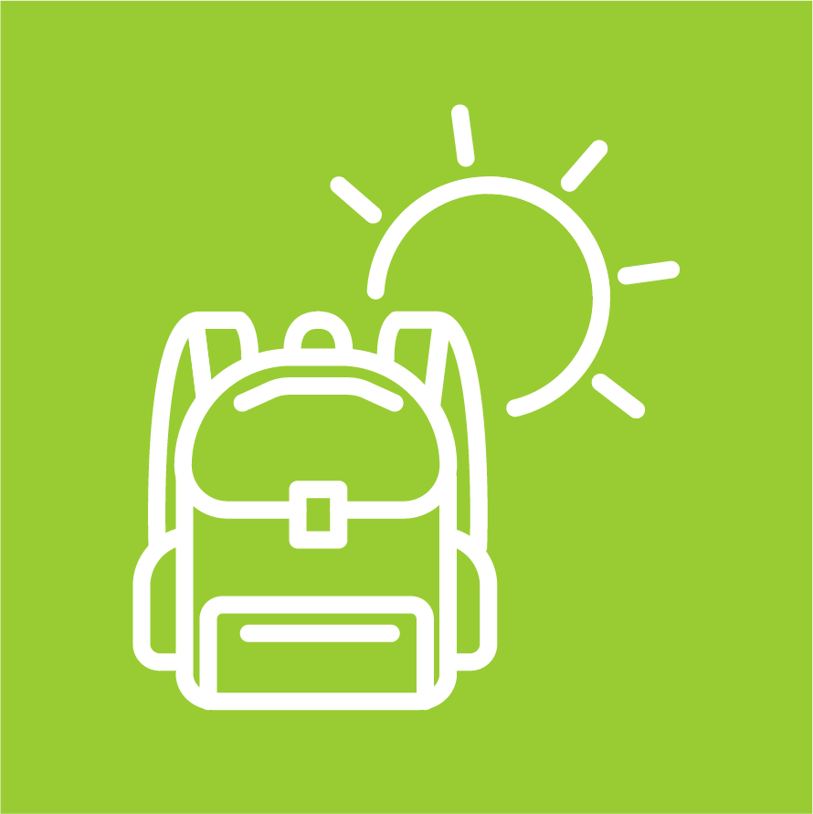 Icono summer school