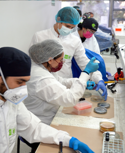 Estudiantes trabajando en laboratorio