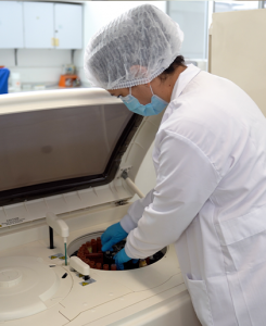 Student working with specimen processing equipment