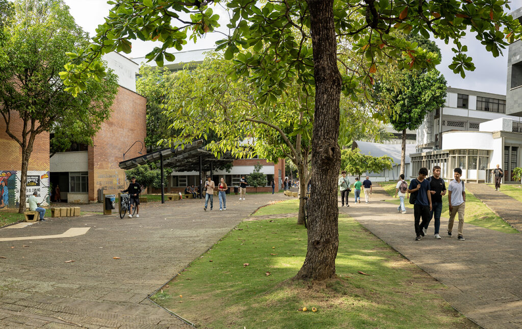 Fotografía estudiantes campus