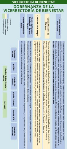 Gobernanza de la Vicerrectoría de Bienestar