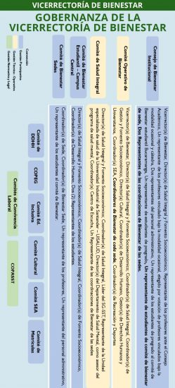 Gobernanza de la Vicerrectoría de Bienestar